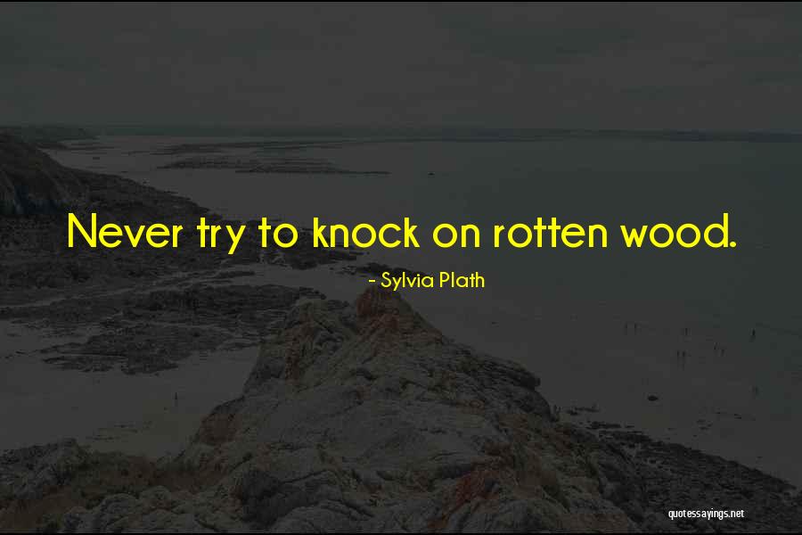 Bergabung Menjadi Quotes By Sylvia Plath