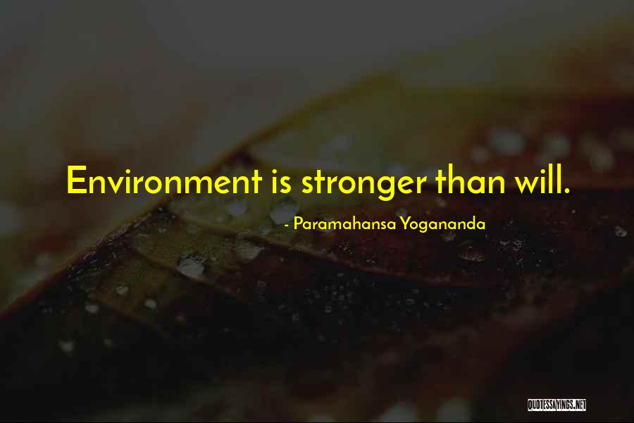 Bergamasco Sheepdog Quotes By Paramahansa Yogananda Bergamasco Sheepdog Quotes By Paramahansa Yogananda