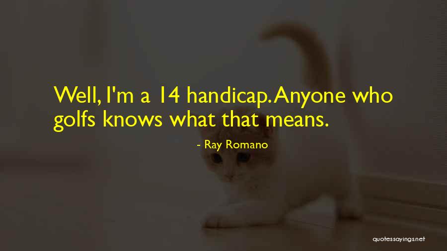 Bergendal Country Quotes By Ray Romano Bergendal Country Quotes By Ray Romano