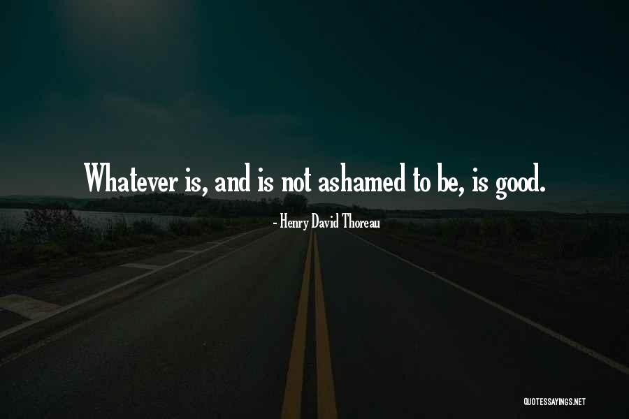 Bergendorff Winery Quotes By Henry David Thoreau Bergendorff Winery Quotes By Henry David Thoreau