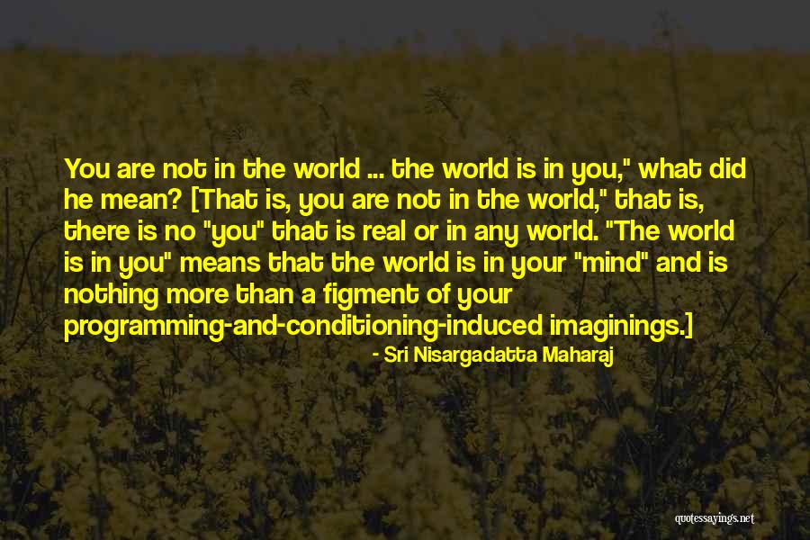 Bergey Dealership Quotes By Sri Nisargadatta Maharaj Bergey Dealership Quotes By Sri Nisargadatta Maharaj