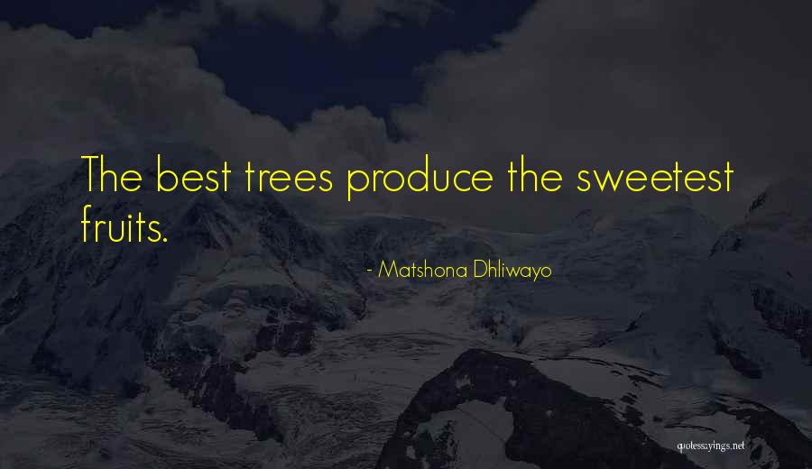 Berggruen Musk Quotes By Matshona Dhliwayo Berggruen Musk Quotes By Matshona Dhliwayo