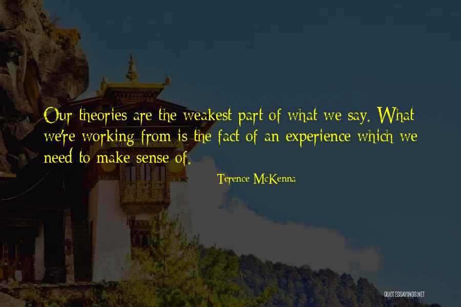 Berghmans Armand Quotes By Terence McKenna Berghmans Armand Quotes By Terence McKenna