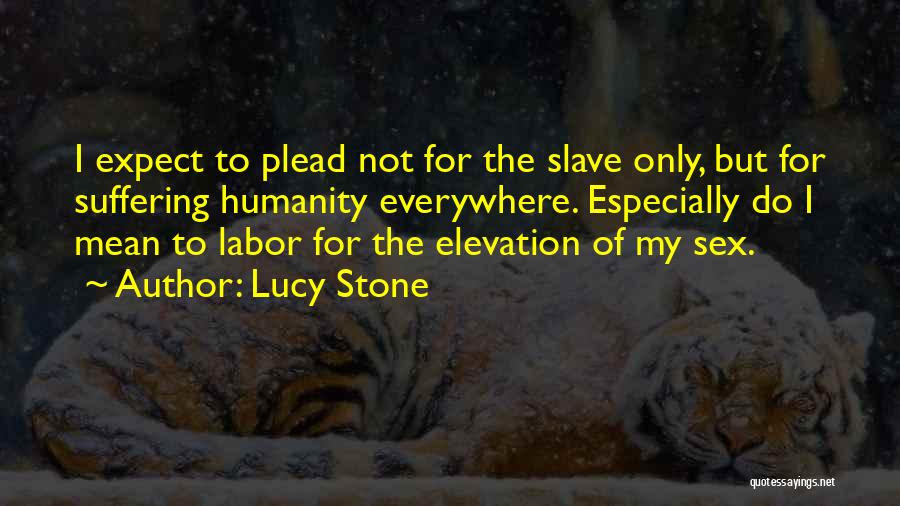 Bergkvist Timber Quotes By Lucy Stone