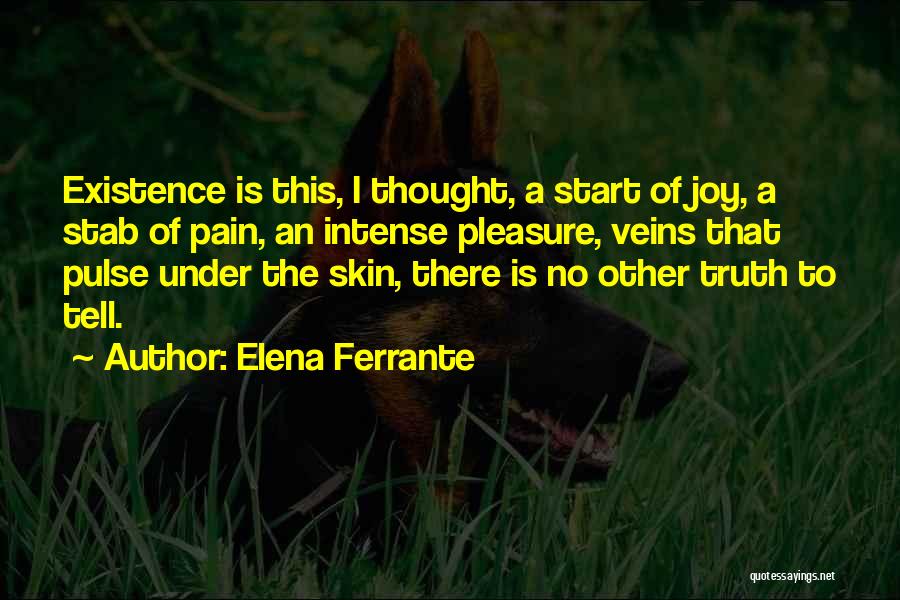 Bergwandeling Quotes By Elena Ferrante
