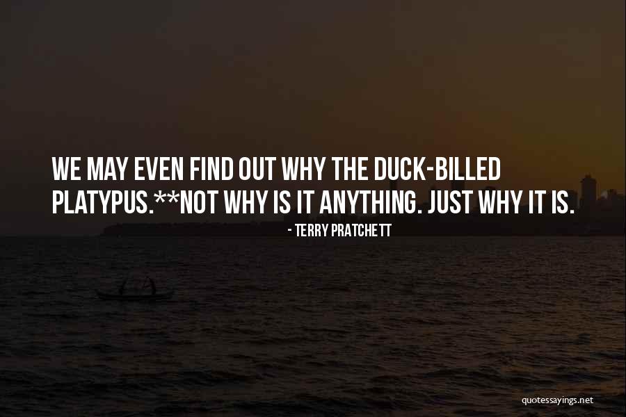 Berilah Satu Quotes By Terry Pratchett Berilah Satu Quotes By Terry Pratchett