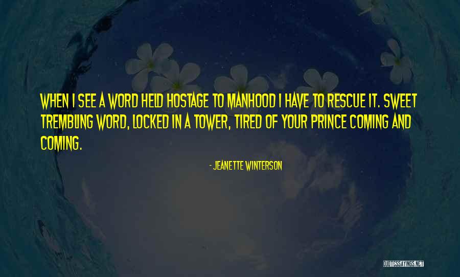 Beriot Violin Quotes By Jeanette Winterson Beriot Violin Quotes By Jeanette Winterson
