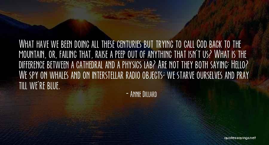 Berisi Kajian Quotes By Annie Dillard Berisi Kajian Quotes By Annie Dillard