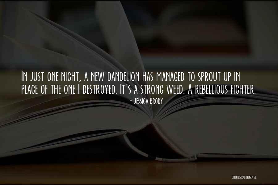 Berk And Jeff Quotes By Jessica Brody Berk And Jeff Quotes By Jessica Brody