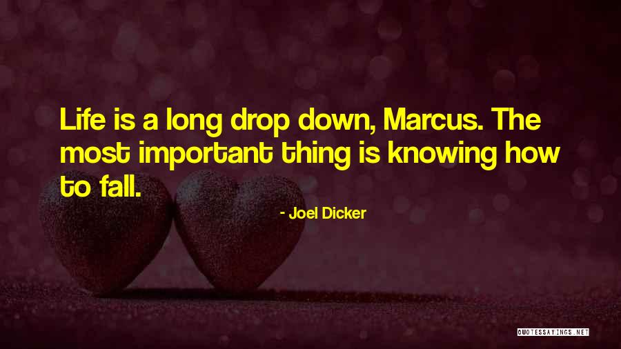 Berkayak Quotes By Joel Dicker