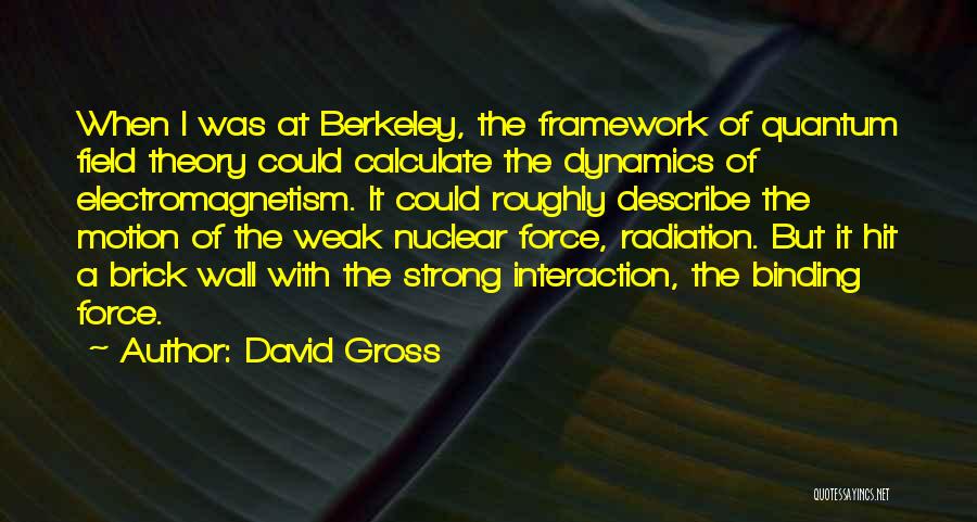 Berkeley Quotes By David Gross