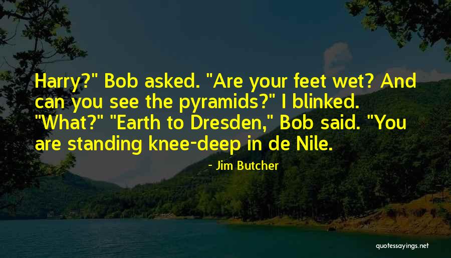 Berkenfeld Michael Quotes By Jim Butcher Berkenfeld Michael Quotes By Jim Butcher