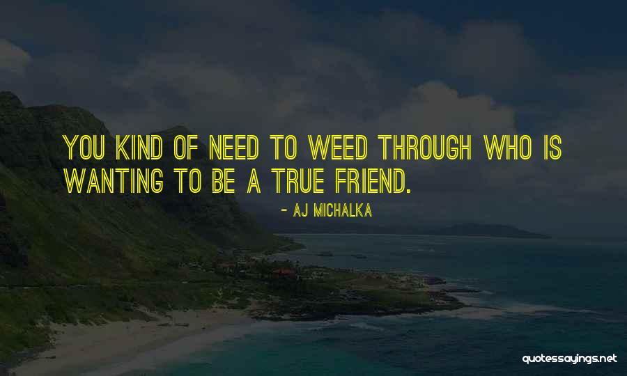 Berkman Henoch Quotes By AJ Michalka Berkman Henoch Quotes By AJ Michalka
