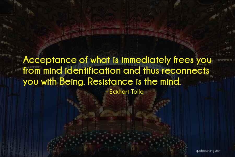 Berlingerio Quotes By Eckhart Tolle Berlingerio Quotes By Eckhart Tolle