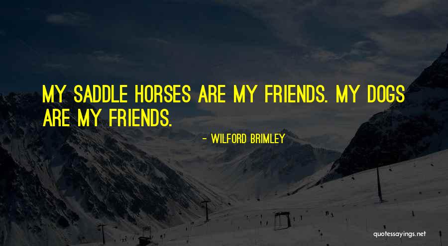 Berlingerio Quotes By Wilford Brimley Berlingerio Quotes By Wilford Brimley