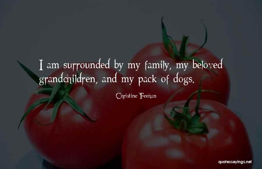 Bernabucci Ct Quotes By Christine Feehan Bernabucci Ct Quotes By Christine Feehan