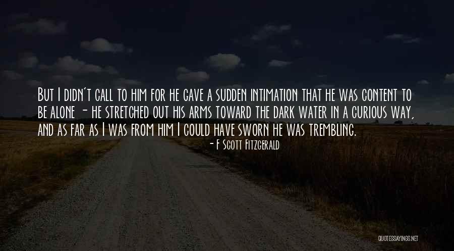 Bernadetta Von Varley Quotes By F Scott Fitzgerald Bernadetta Von Varley Quotes By F Scott Fitzgerald