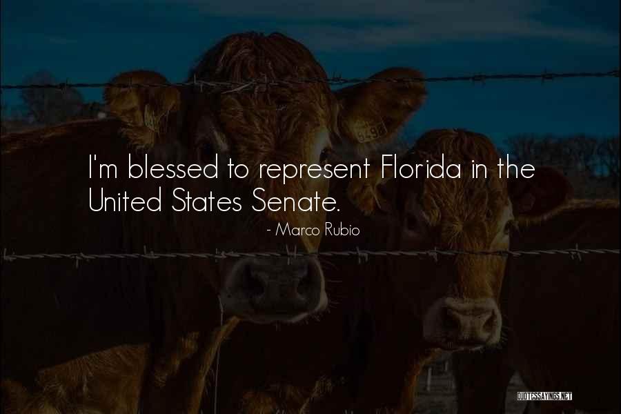 Bernals Bar Quotes By Marco Rubio Bernals Bar Quotes By Marco Rubio