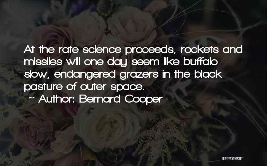 Bernard Black Quotes By Bernard Cooper