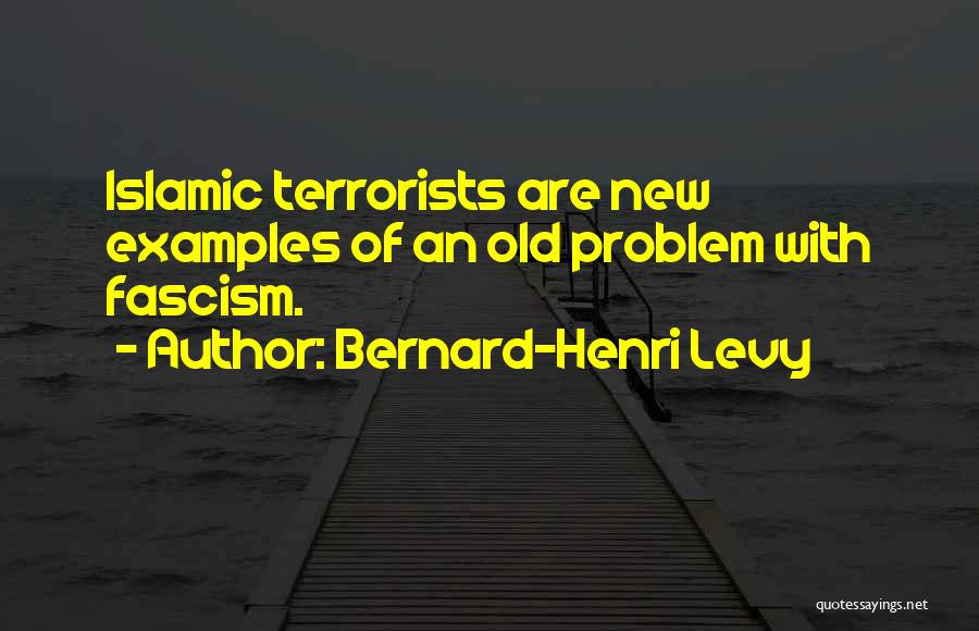 Bernard-Henri Levy Quotes 162054