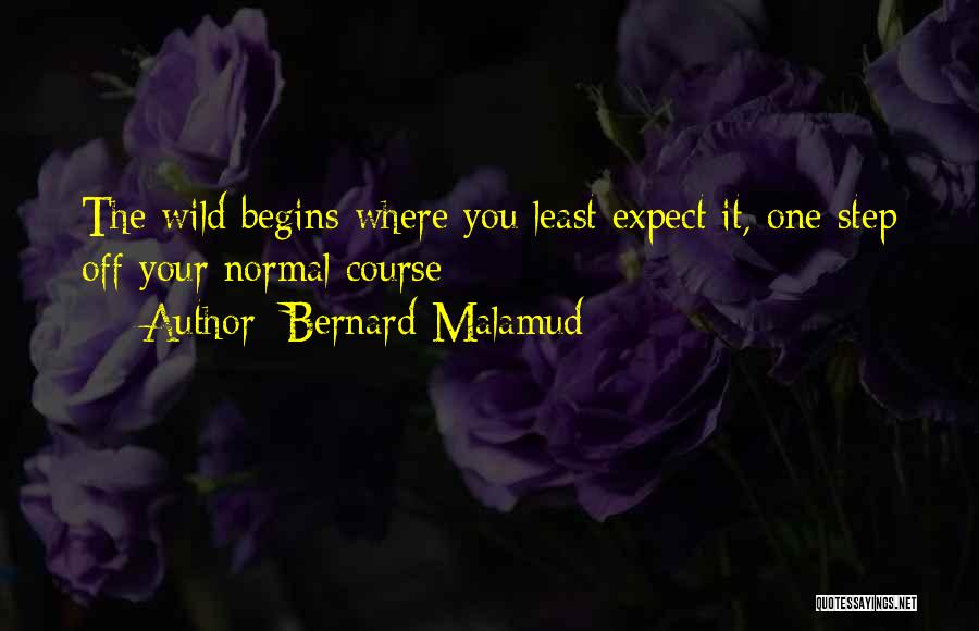 Bernard Malamud Quotes 1148473