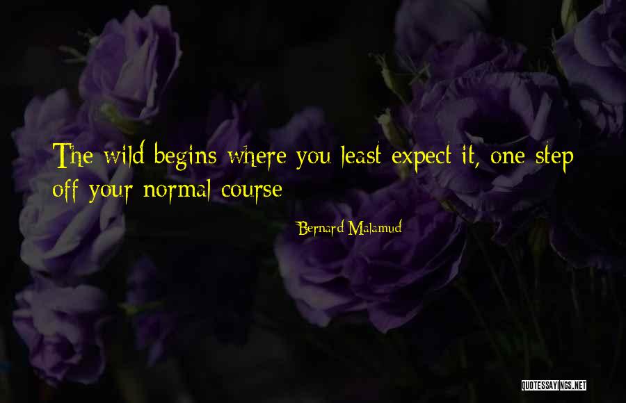 Bernard Malamud Quotes 1148473 Bernard Malamud Quotes 1148473