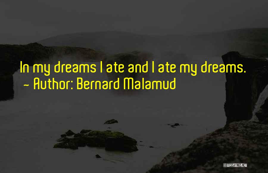 Bernard Malamud Quotes 1167879