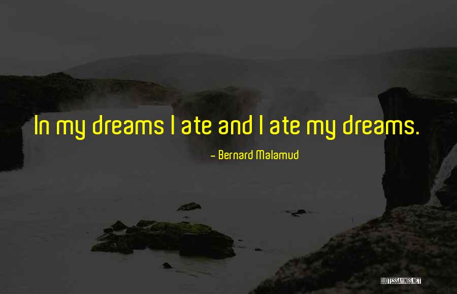 Bernard Malamud Quotes 1167879