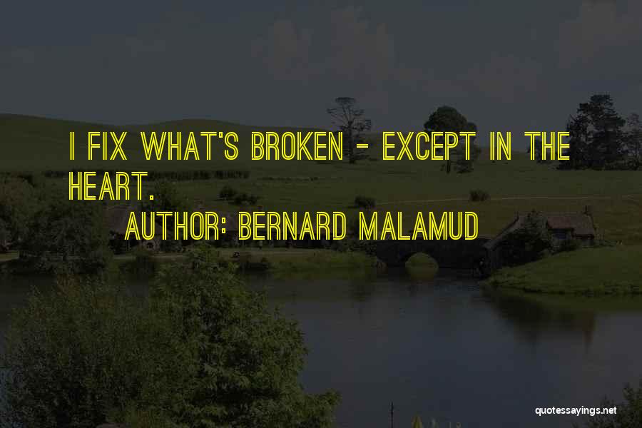 Bernard Malamud Quotes 1363017