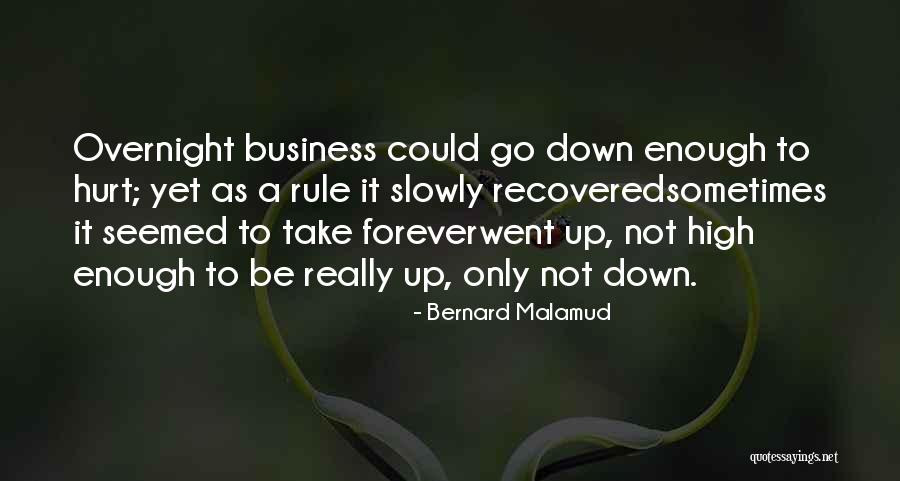 Bernard Malamud Quotes 1690226