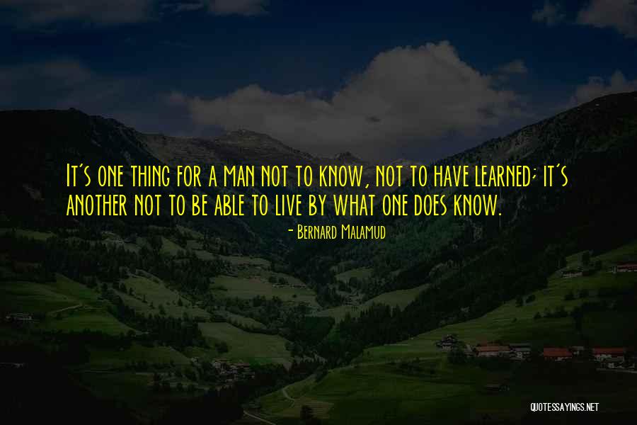 Bernard Malamud Quotes 191823 Bernard Malamud Quotes 191823