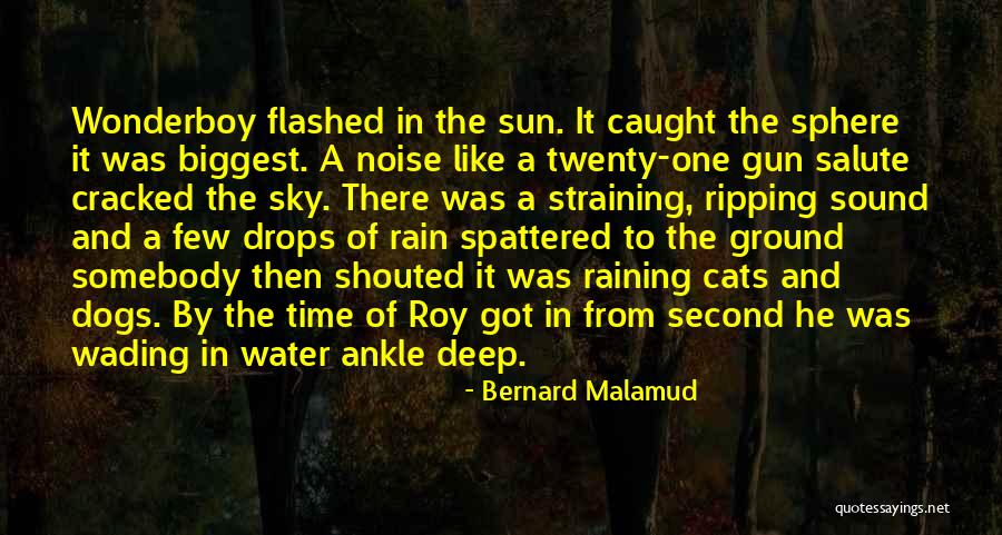 Bernard Malamud Quotes 1959813