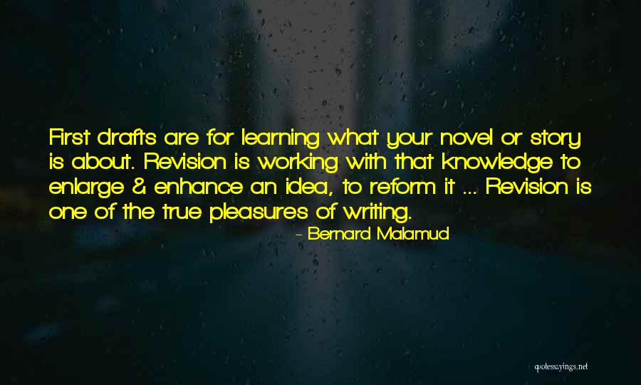 Bernard Malamud Quotes 819957