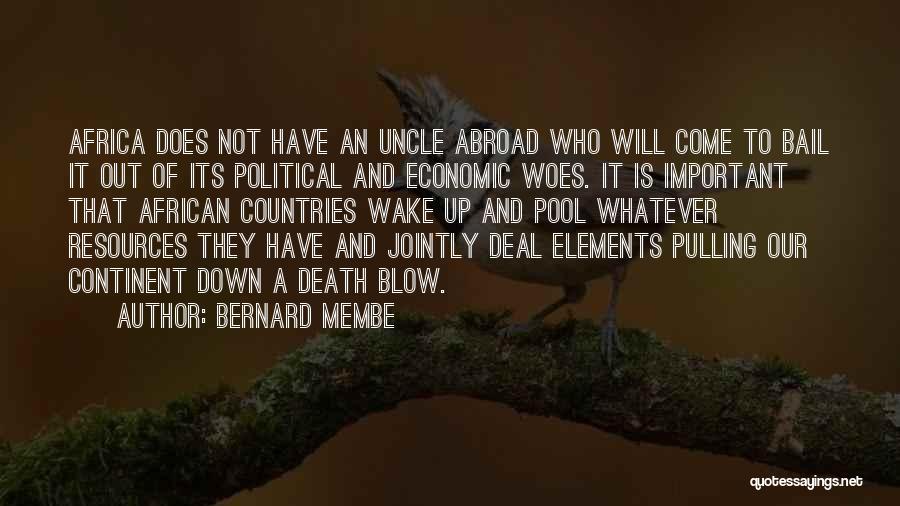 Bernard Membe Quotes 1213325