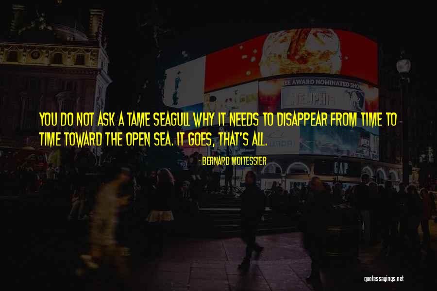 Bernard Moitessier Quotes 1684433 Bernard Moitessier Quotes 1684433