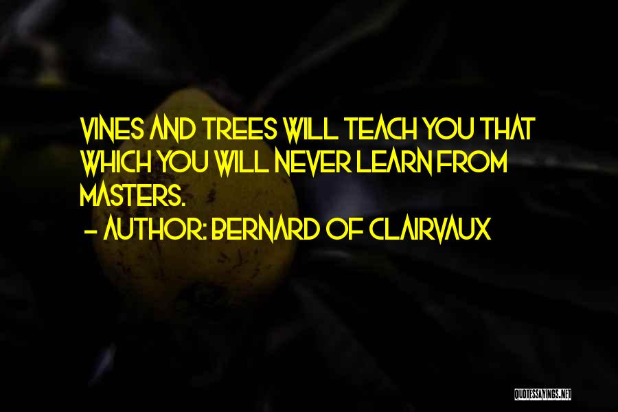 Bernard Of Clairvaux Quotes 1412661