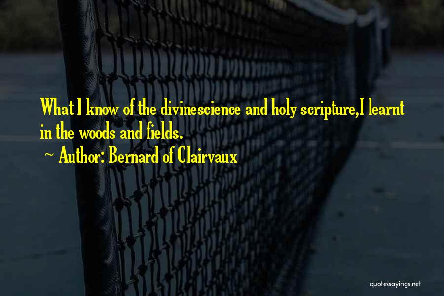 Bernard Of Clairvaux Quotes 1702703