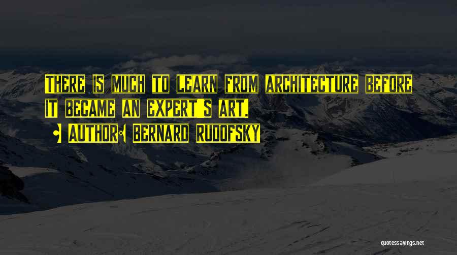 Bernard Rudofsky Quotes 1212910