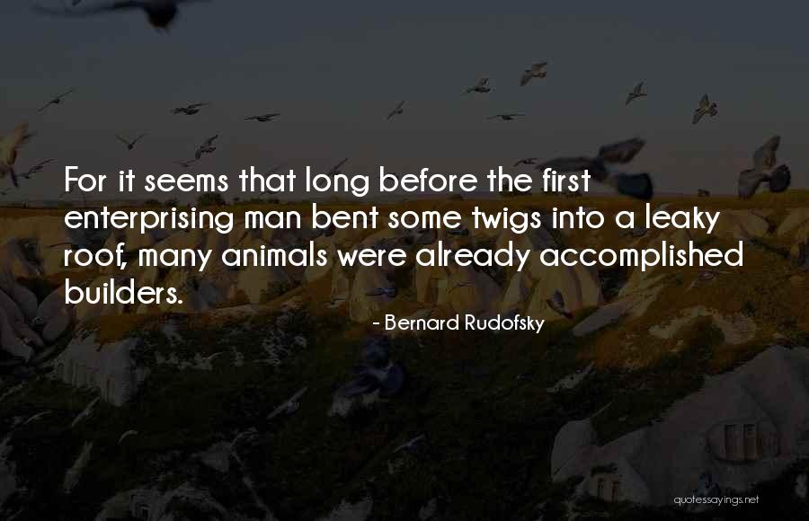 Bernard Rudofsky Quotes 1668115