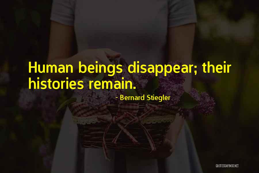 Bernard Stiegler Quotes 1567426