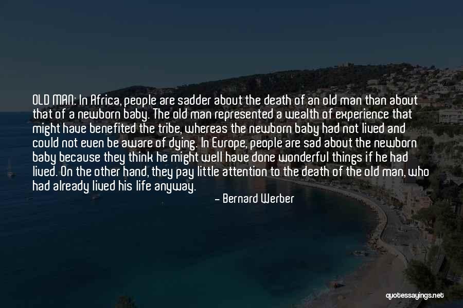 Bernard Werber Quotes 618922