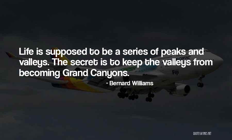 Bernard Williams Quotes 1220590 Bernard Williams Quotes 1220590