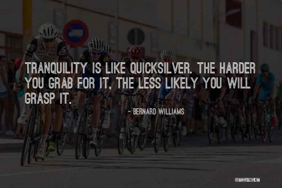 Bernard Williams Quotes 1494512 Bernard Williams Quotes 1494512