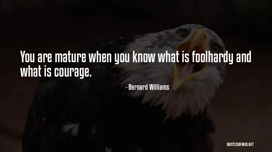 Bernard Williams Quotes 378906 Bernard Williams Quotes 378906