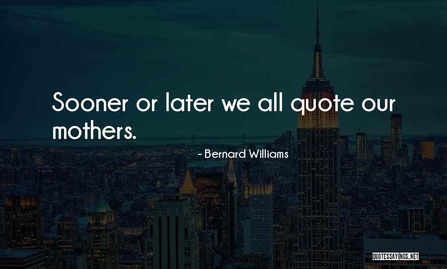 Bernard Williams Quotes 855982