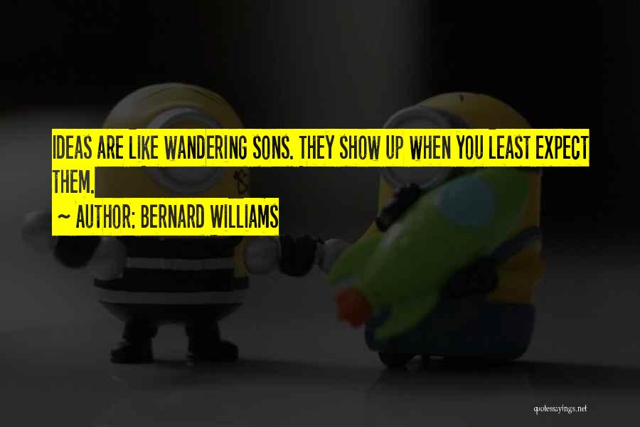 Bernard Williams Quotes 985753