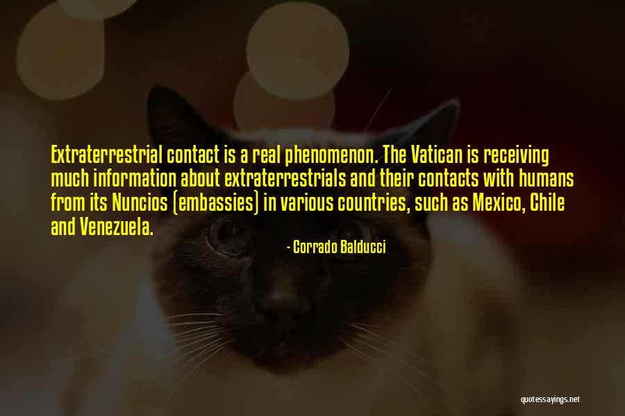 Bernardeteans Quotes By Corrado Balducci Bernardeteans Quotes By Corrado Balducci