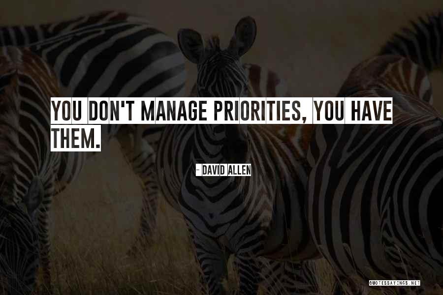 Bernardina Brito Quotes By David Allen