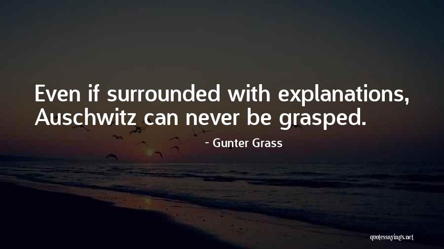 Bernardins Muscat Quotes By Gunter Grass Bernardins Muscat Quotes By Gunter Grass