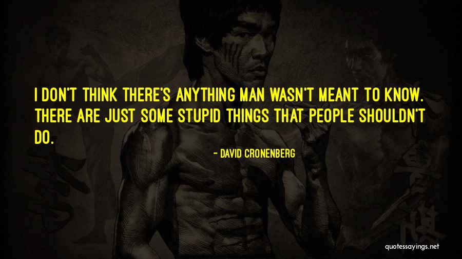 Bernath Furniture Quotes By David Cronenberg Bernath Furniture Quotes By David Cronenberg